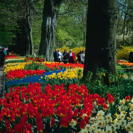 Taman Bunga Keukenhof Belanda Pindah ke Bandung Gan!!