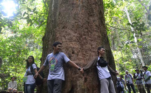 &#91;Nature&#93; : 25 Foto Pohon Menakjubkan Yang Belum Pernah Agan Lihat Sebelumnya