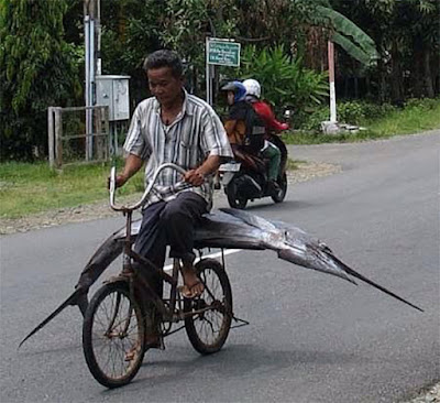 &#91;GagsLibrary&#93; Kompilasi Gambar dan GIF Konyol (EXTREME RIDERS PART 2)