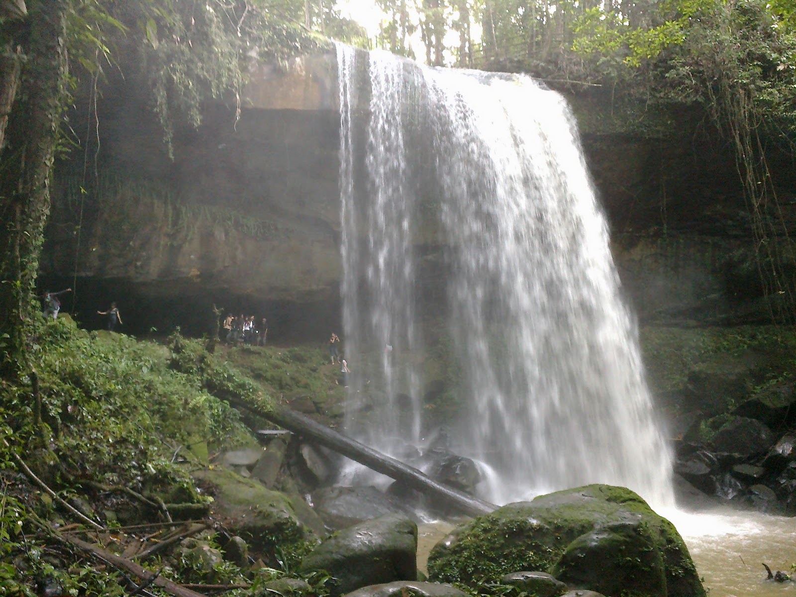 Yang bilang Kalimantan itu kebanyakan hutan, masuk sini dulu