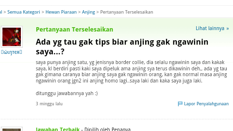 Pertanyaan Pertanyaan lucu di Yahoo Answers