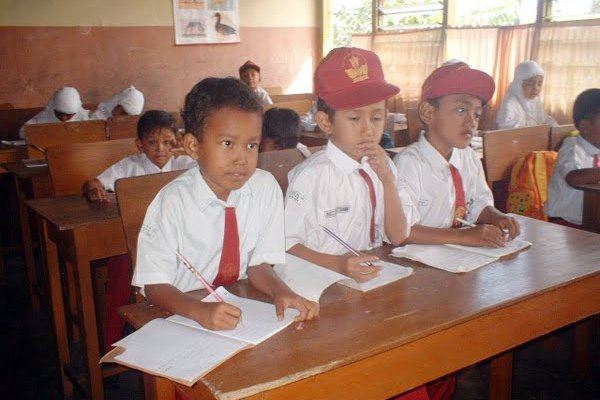 Dokter Rica Terdeteksi di Sebuah Pulau