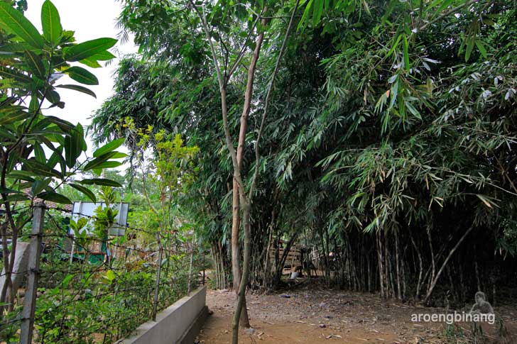 &#91;CoC Regional: Lokasi Wisata&#93; Situs Batu Guling Sumbang Banyumas