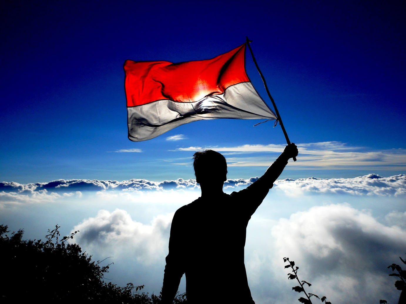 Watch your step, this is cikuray.