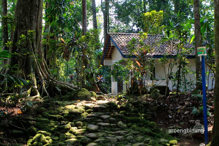 &#91;CoC Regional: Lokasi Wisata&#93; Situs Batur Agung Kedungbanteng Banyumas