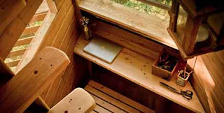 5 Rumah Pohon Paling Unik Di Dunia