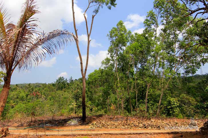 &#91;CoC Regional: Lokasi Wisata&#93; Makam Nyai Mranggi Binangun Banyumas