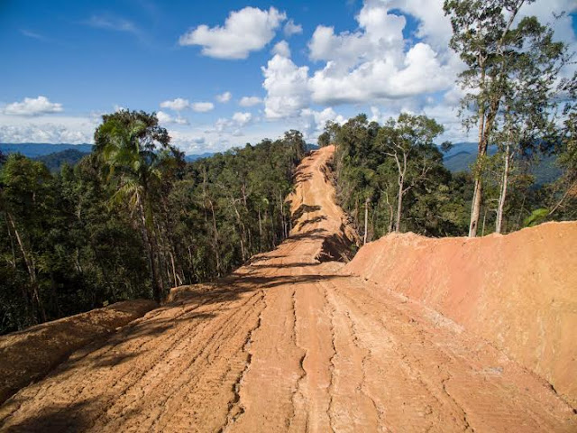 Lagi Hot, Jokowi katanya korbankan hutan utk jalan