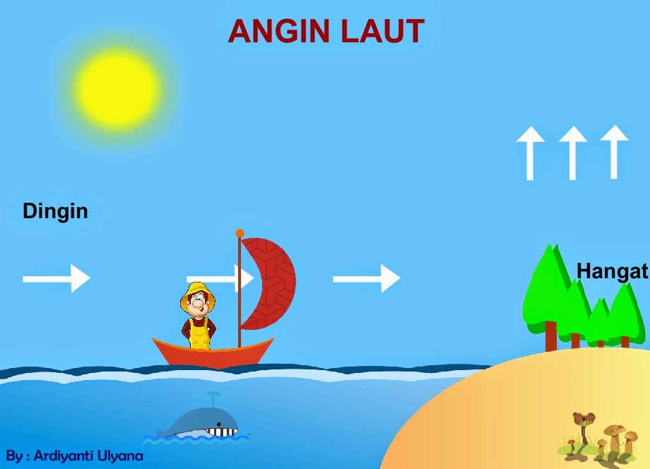 &#91;H2H Event&#93; Windy, Si Putri Angin