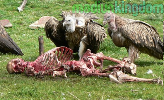 Foto: inilah pemakaman Yang Mengerikan di Dunia