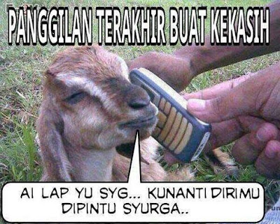 Perasaan Kambing Sebelum Eksekusi di Hari Raya Kurban [Meme Lucu]