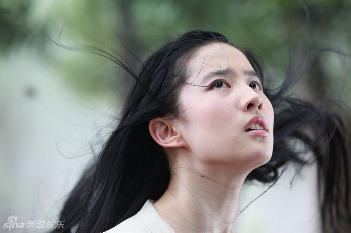 Aktris Cantik Pemain Film Asia versi Ane - Liu Yifei