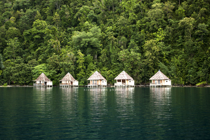 Seru! Jelajah Alam Maluku, Eksotisme Indonesia Timur