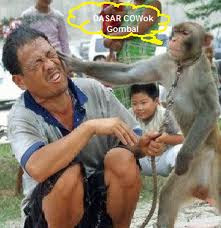 Kumpulan Foto Unik dan Aneh Bikin Ketawa 