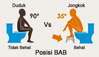Lebih Sehat Toilet Duduk atau Jongkok?