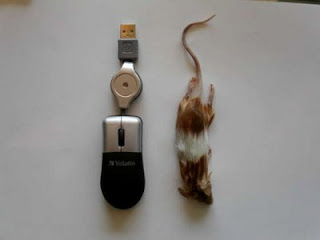 (PICT+NGAKAK)Cara Membuat Mouse Komputer (PC) Sendiri