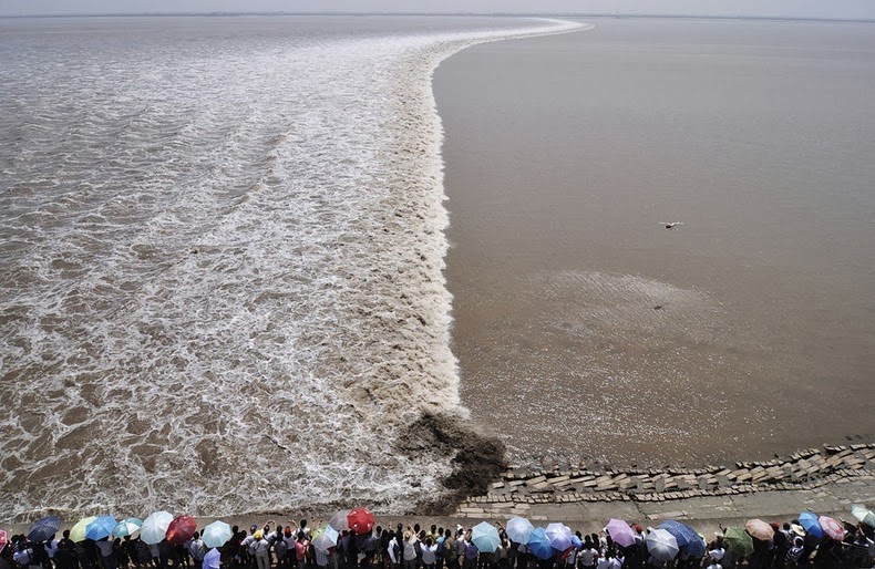 Tidal Bore, Fenomena Alam yang Langka terjadi &#91;Harus Tau!!!&#93;