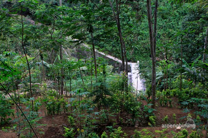 &#91;CoC Regional: Lokasi Wisata&#93; Adem... Curug Belot Rempoah Baturraden