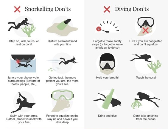 Suka Diving atau Snorkelling ? Yuk Kenali Perbedaannya
