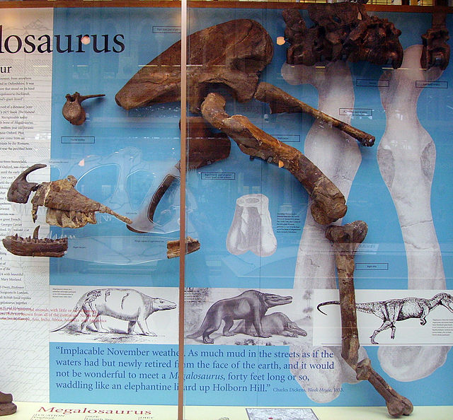 10 Fakta tentang Dinosaurus