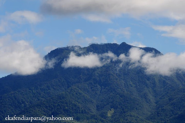 Gunung Pesagi Surganya para Pendaki