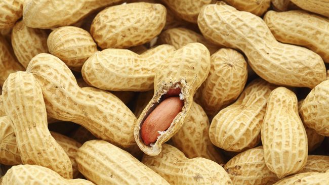akrabkan-anak-dengan-susu-dan-kacang-untuk-cegah-alergi