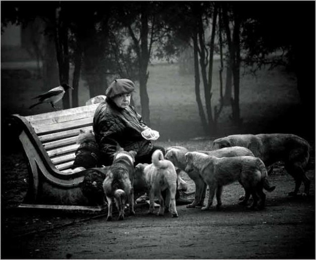 10 Foto Ini Bikin Terharu