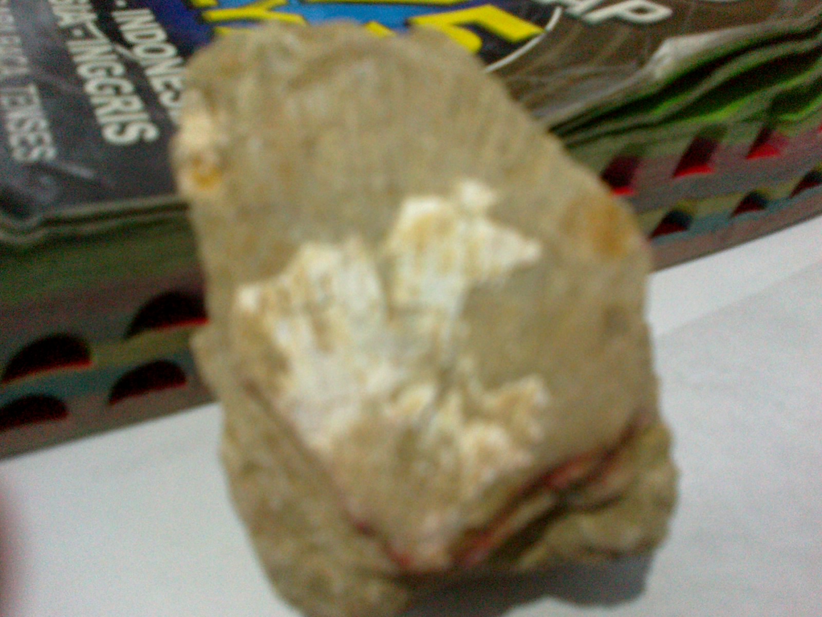 Hasil temuan Fosil - fosil ane ... : )