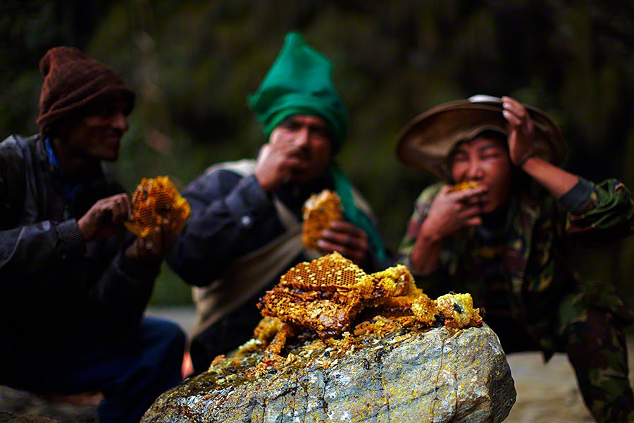 Perjuangan Pemburu Madu Himalaya&#91;ngeri gan&#93;