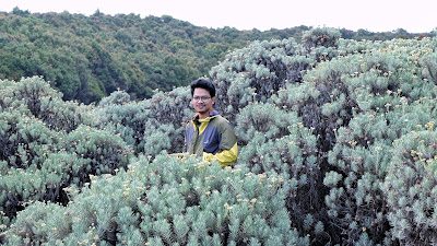 One Day Hiking ke Gunung Eksotis, Papandayan