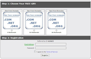 gratis-domain-com-net-org-seumur-hidup