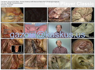 Video Kedokteran