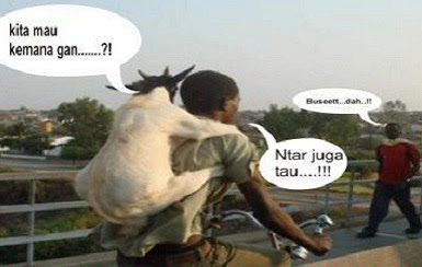 Perasaan Kambing Sebelum Eksekusi di Hari Raya Kurban [Meme Lucu]