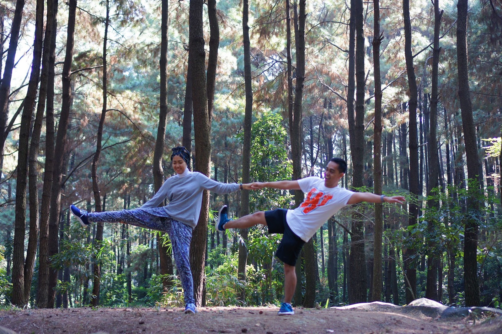 6 Rekomendasi Hutan Pinus Kece untuk Akhir Pekan Bersama Keluarga 