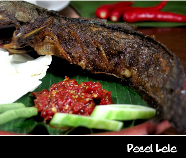 PECEL LELE makanan asli tanah air INDONESIA..,Menu pilihan makan siang agan..^_^