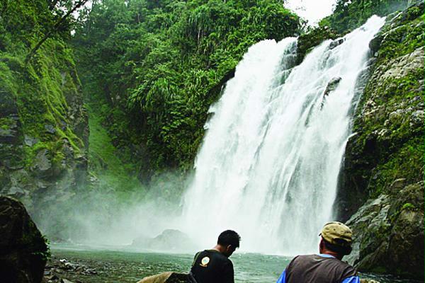 TERANCAM PUNAH Tiga Taman Nasional Warisan Dunia di Bukit Barisan