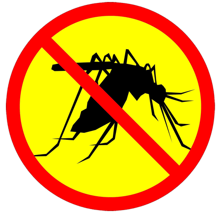Inilah yang Terjadi Jika Nyamuk Punah dari Muka Bumi