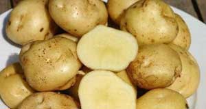 Jenis Makanan dan Minuman Termahal di Dunia