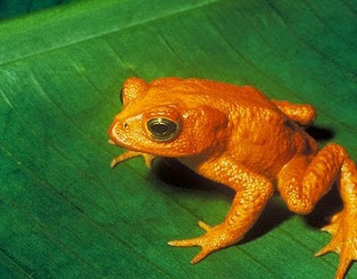 hal hal yang paling menyebalkan ketika di toilet