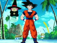 biografi-songoku