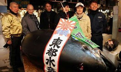 Ikan tuna 17 milyard di jepang