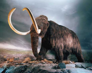 10 Hewan Menakjubkan Pada Zaman Prasejarah