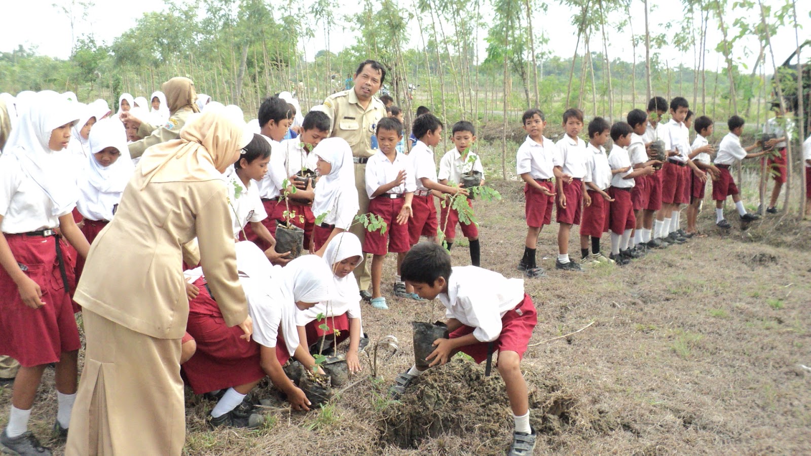 Banyak Manfaat Hijaukan Lingkungan di Sekitar Gansist