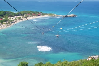 5 Flying Fox Terekstrim di Dunia
