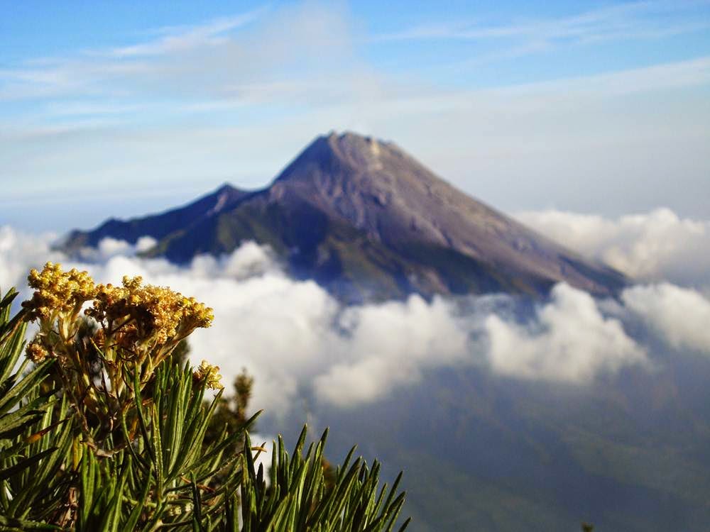 &#91;CATPER&#93; Menerjang Debu Merbabu via Selo &#91;31 Agustus - 2 September 2014&#93;