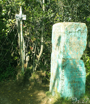 Mendaki Pangrango, puncak tertinggi kedua Jawa Barat &#91;22-25 November 2013&#93;