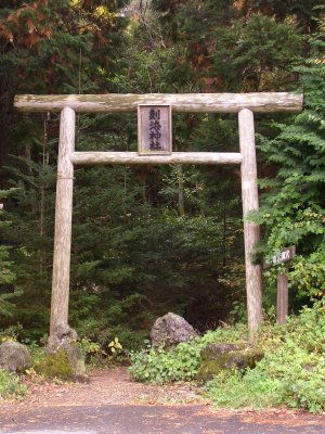 Hutan Aokigahara Tempat Bunuh Diri Terangker Di Jepang