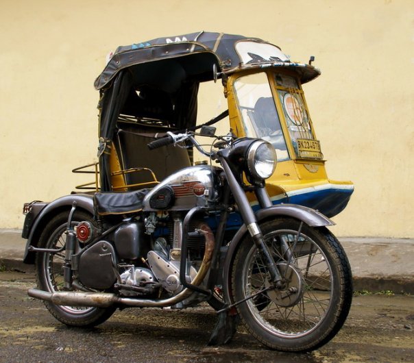 Jenis-Jenis Becak Penghuni Tanah Air