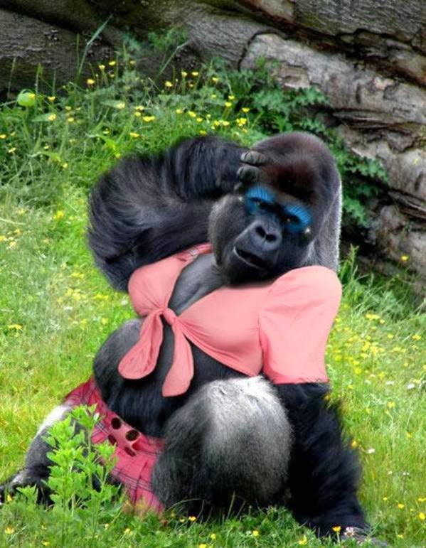 Sexy Naughty Bitchy Nyesel Gak Buka Lo Gan!!!