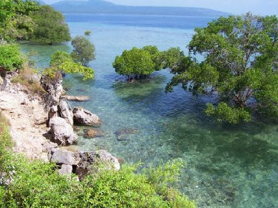 Wisata Pulau Menjangan, Keindahan Taman Bawah Laut di Bali Barat